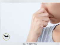 口臭予防
